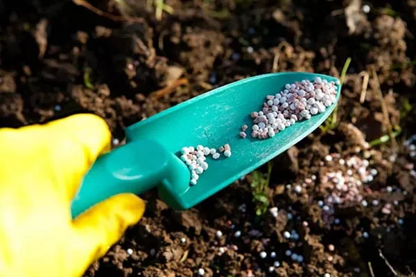 Внесение подкормок