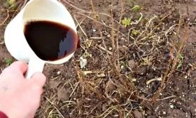 Внесение удобрений