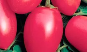 Как использовать