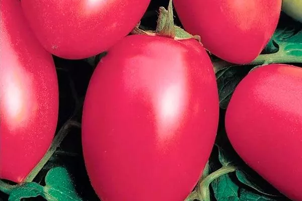 Как использовать