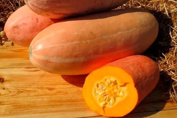 Характеристики тыквы
