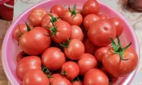 Особенности сбора урожая