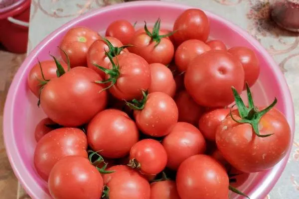 Особенности сбора урожая