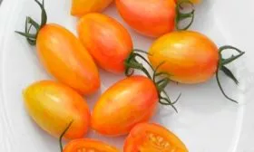 Назначение и применение