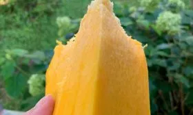 Вкус, назначение и применение