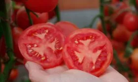 Область применения