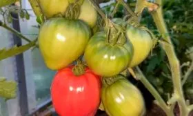 Характеристики