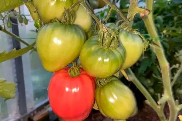 Характеристики