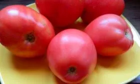 Назначение и применение