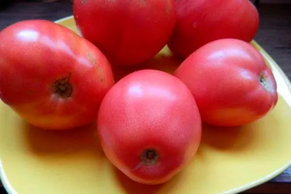 Назначение и применение