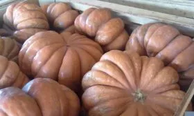 сбор урожая