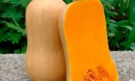 применение