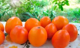 Сбор урожая