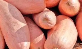 Сбор урожая