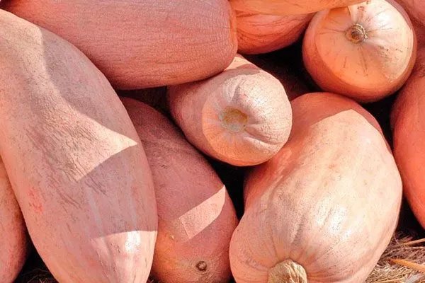 Сбор урожая