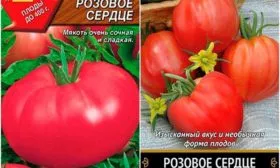 Характеристики сорта помидоров Розовое сердце