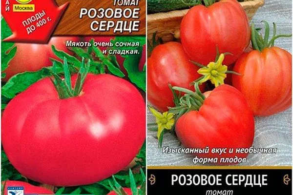 Характеристики сорта помидоров Розовое сердце