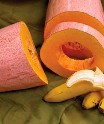 Вкус и назначение плодов