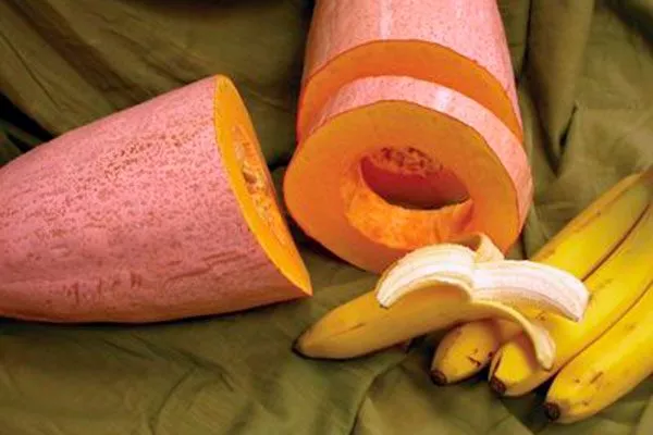 Вкус и назначение плодов