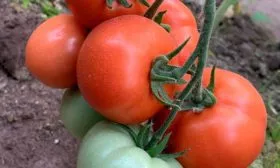 Характеристики