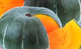 Продуктивность и время созревания