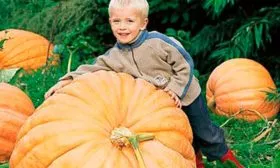 Основные характеристики