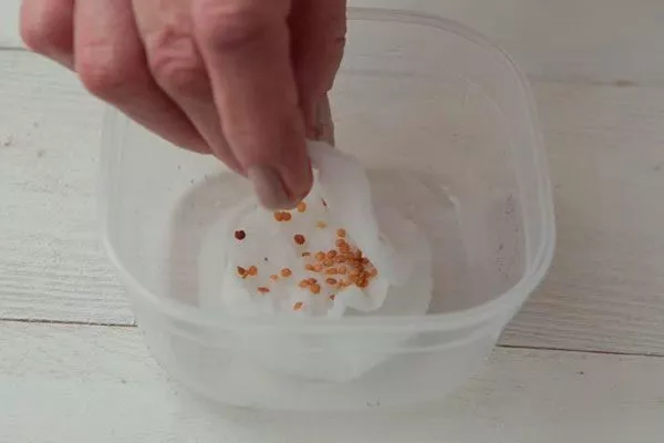 Обработка семян