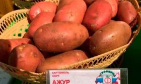 Особенности растения