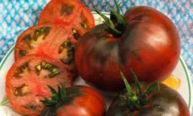 Характеристики