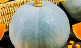 Основные характеристики