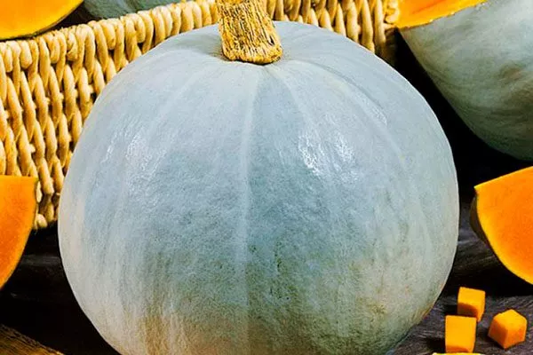 Основные характеристики