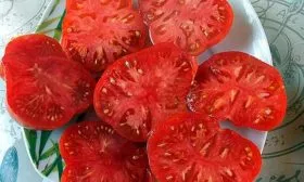 Продуктивность, время созревания, цветение2