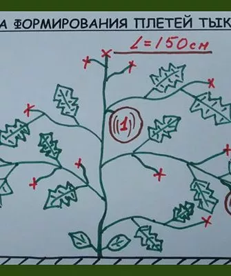 формирование
