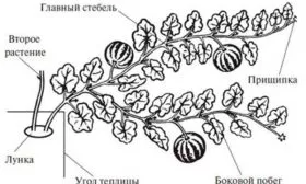 Формирование