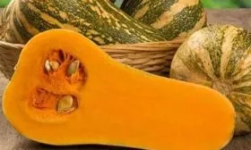 Основные характеристики