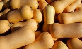 Сбор урожая