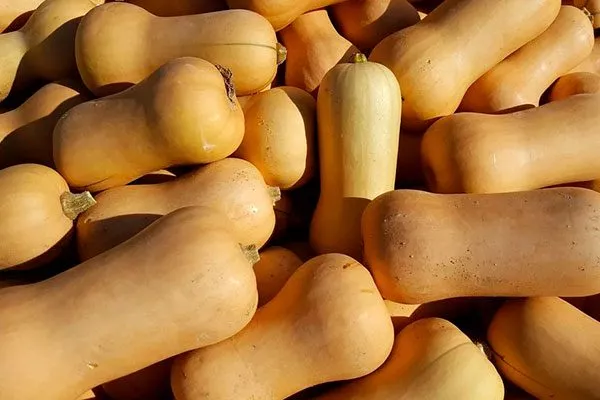 Сбор урожая