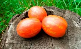 Как использовать и хранить