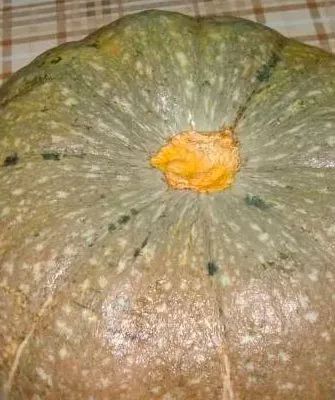 Основные характеристики