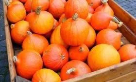 Сбор урожая