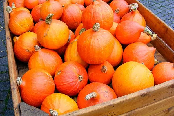 Сбор урожая