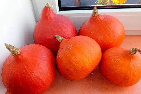 Характеристики