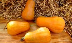 Характеристики