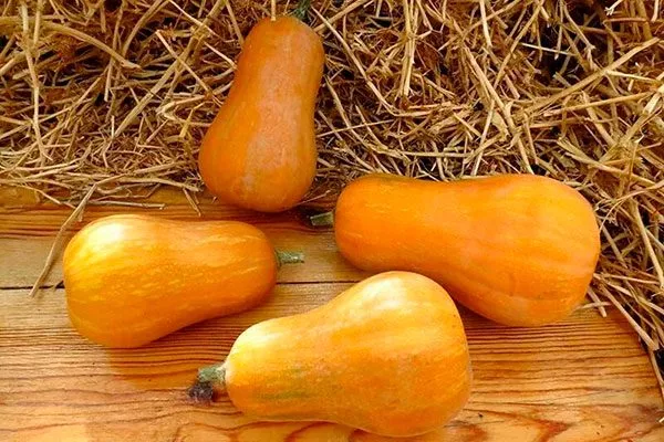 Характеристики