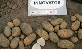 Происхождение