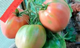 Основные характеристики