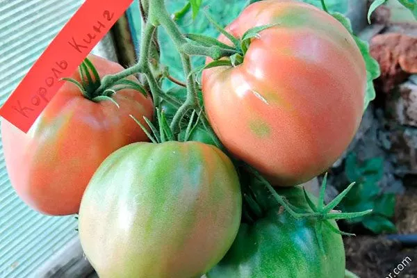 Основные характеристики