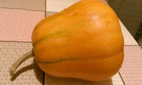 Вкус и назначение плодов