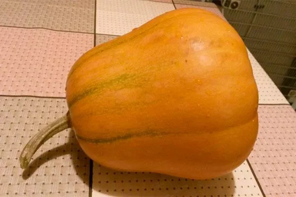 Вкус и назначение плодов