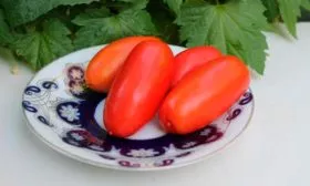 Как использовать